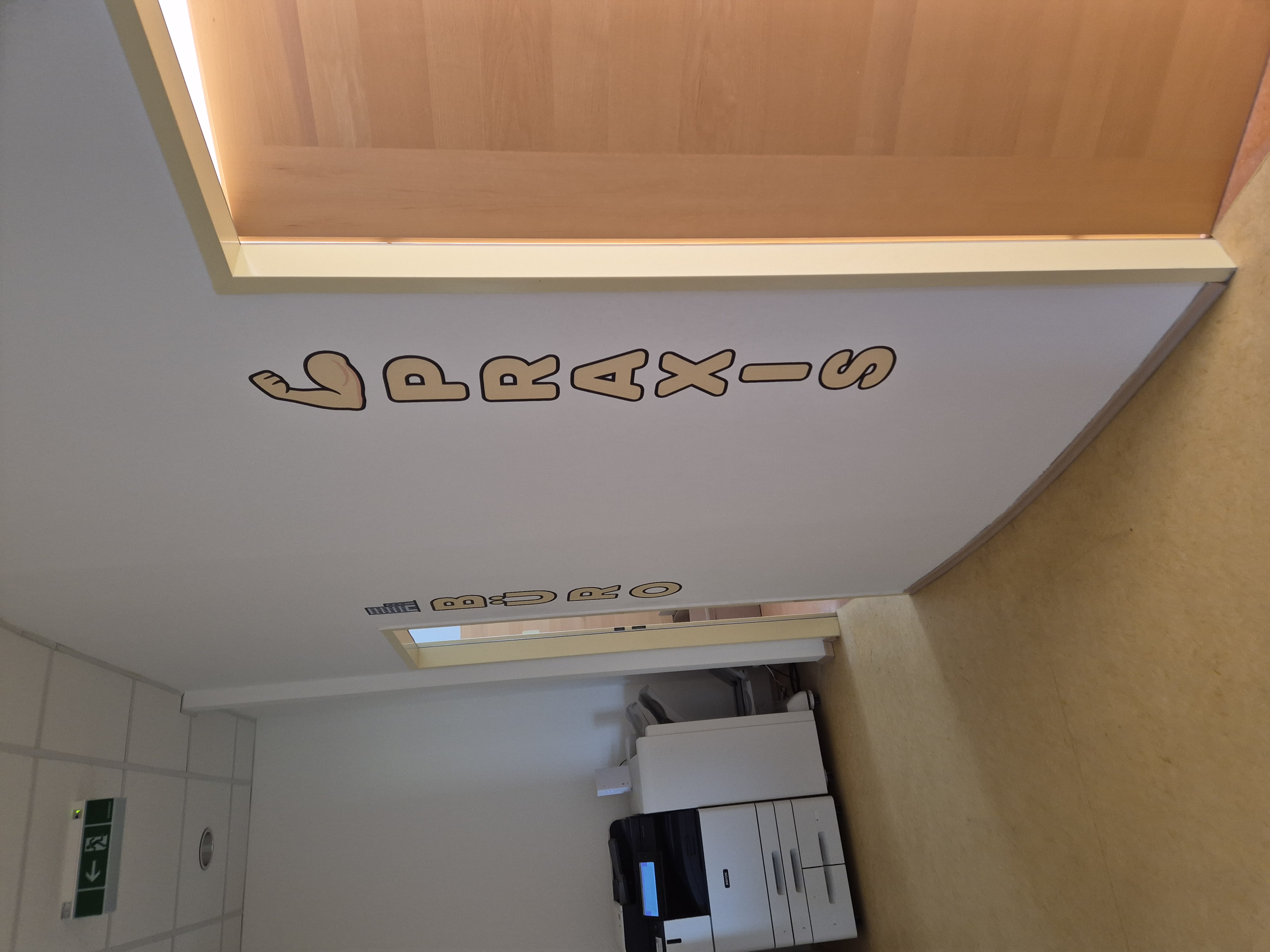 Bueroflur mit den vertikalen Tuerbeschriftungen BUeRO und PRAXIS jeweils mit Icon Hochhaus fuer BUeRO Muskelarm fuer PRAXIS - Büro & Praxis - WonderWalls UV-Direktdruck